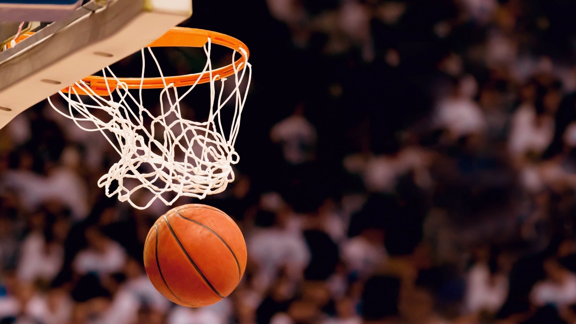 NBA夏季联赛杨瀚森场均数据抢眼吸粉无数，杨瀚森身高