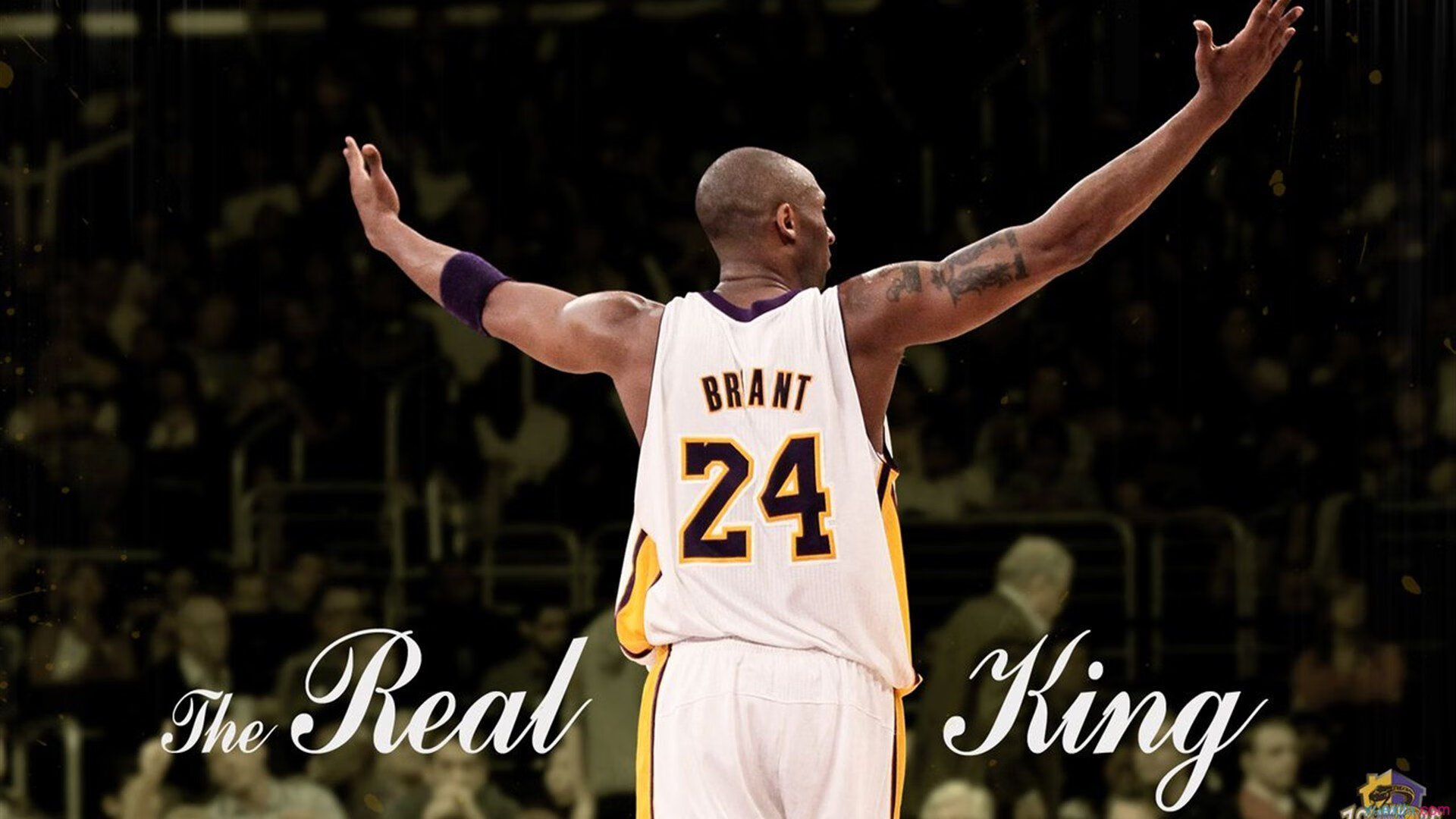 AYX GAME-_本年度网球赛事回顾：那些令人难忘的瞬间_，网球赛事欣赏