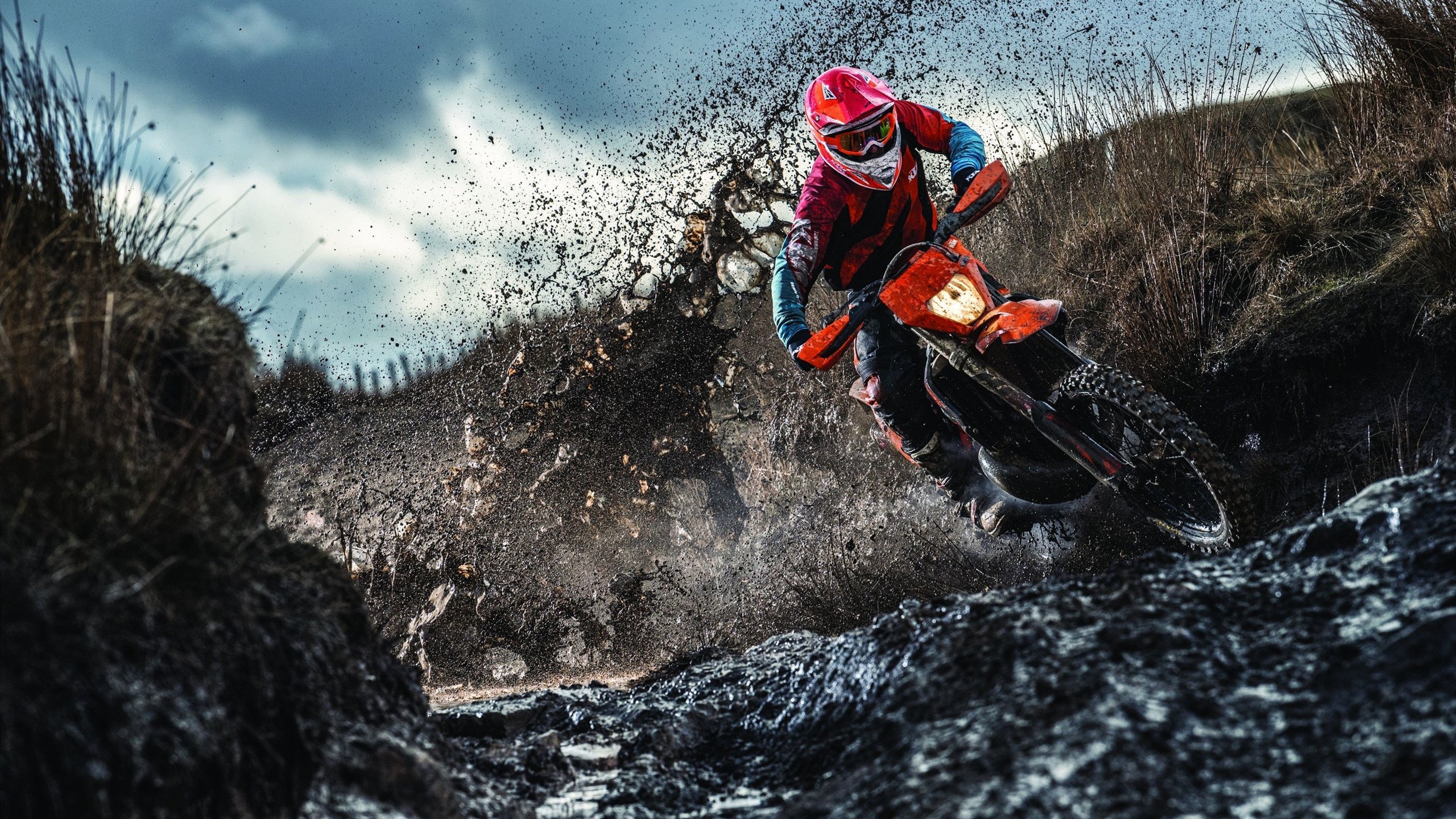 大型星空下的夜跑节，照亮心中的运动梦想，大型夜跑活动